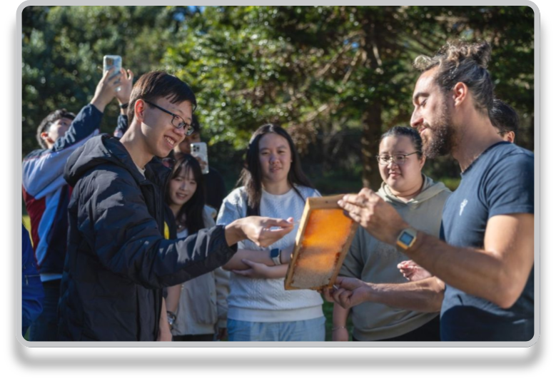 SIT students on an overseas learning programme
