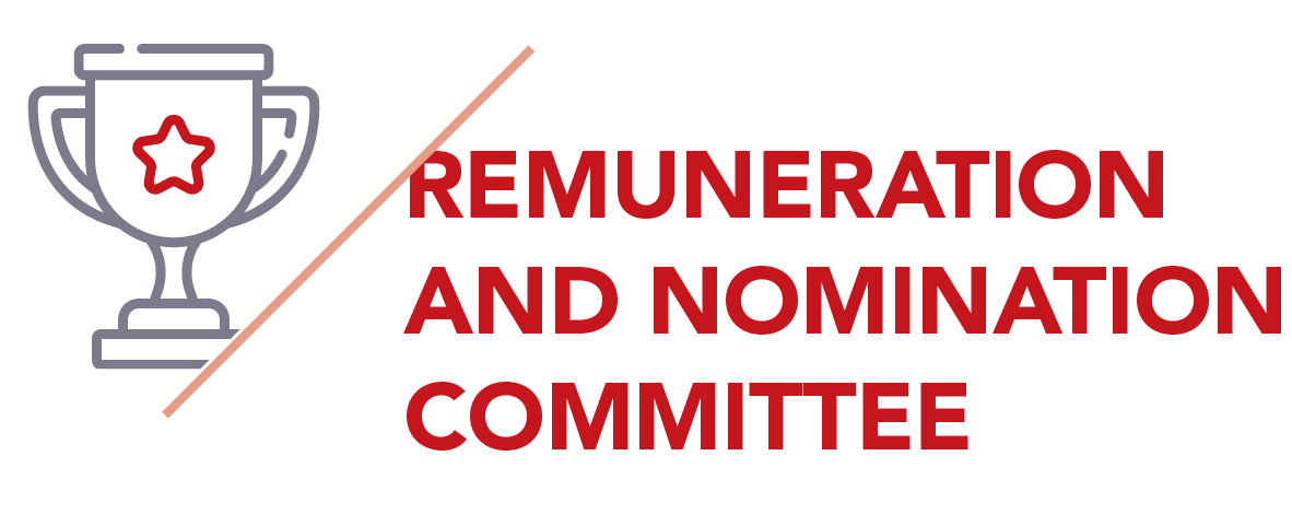 remuneration and nomination committee