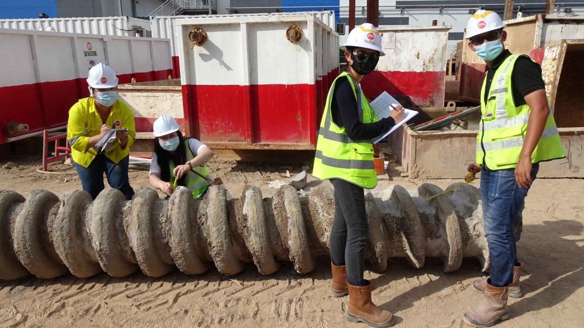 A/Prof Ho with her students on site, examining the DD Piles