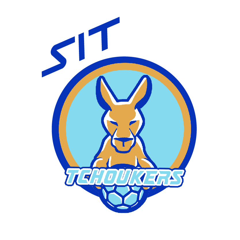 Logo_Tchoukball