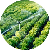 food technology
