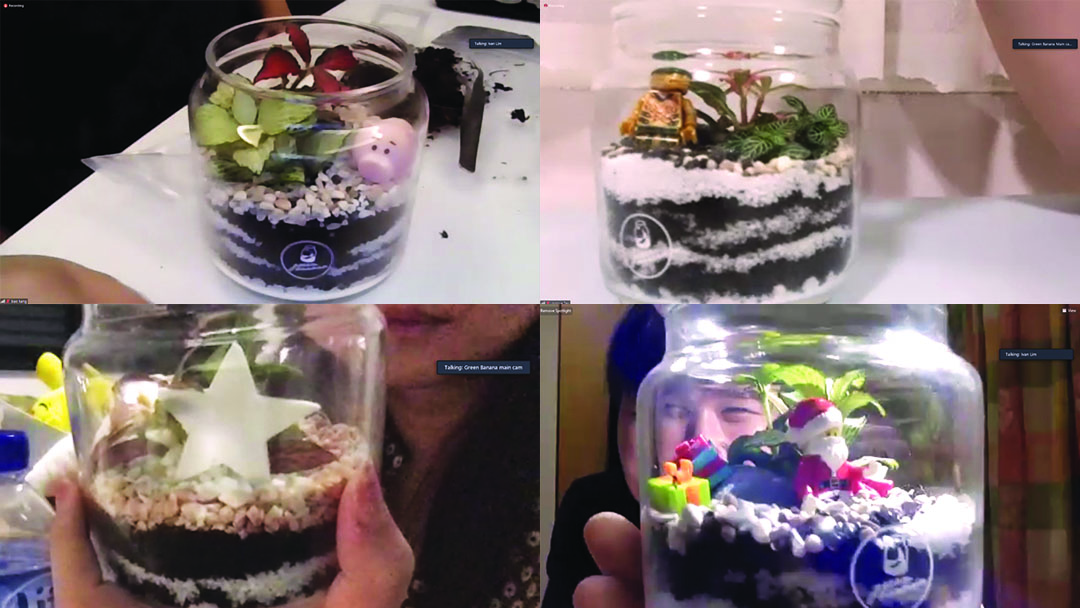 SITizen's Terrariums