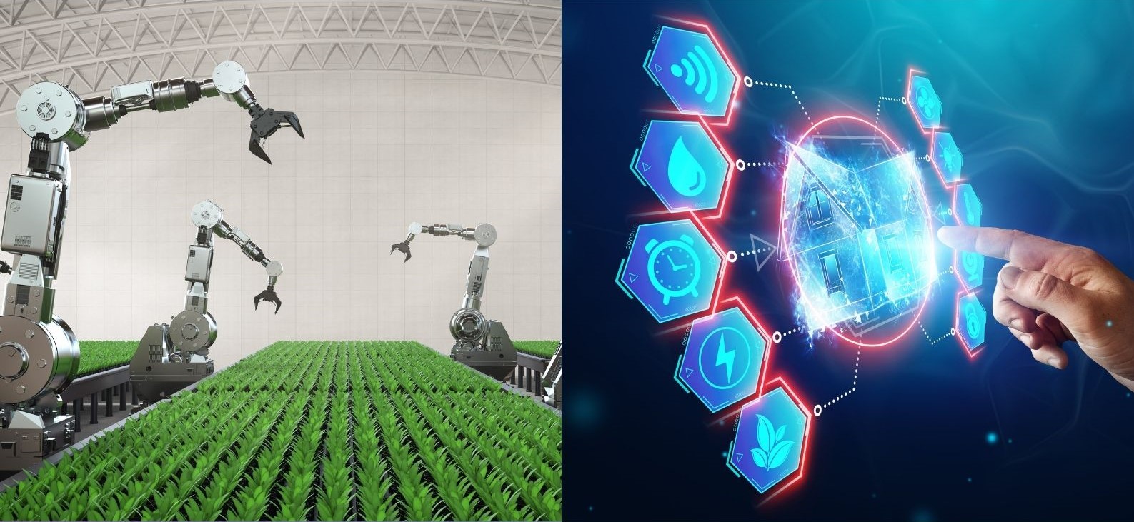 Innovating with Agro-tech