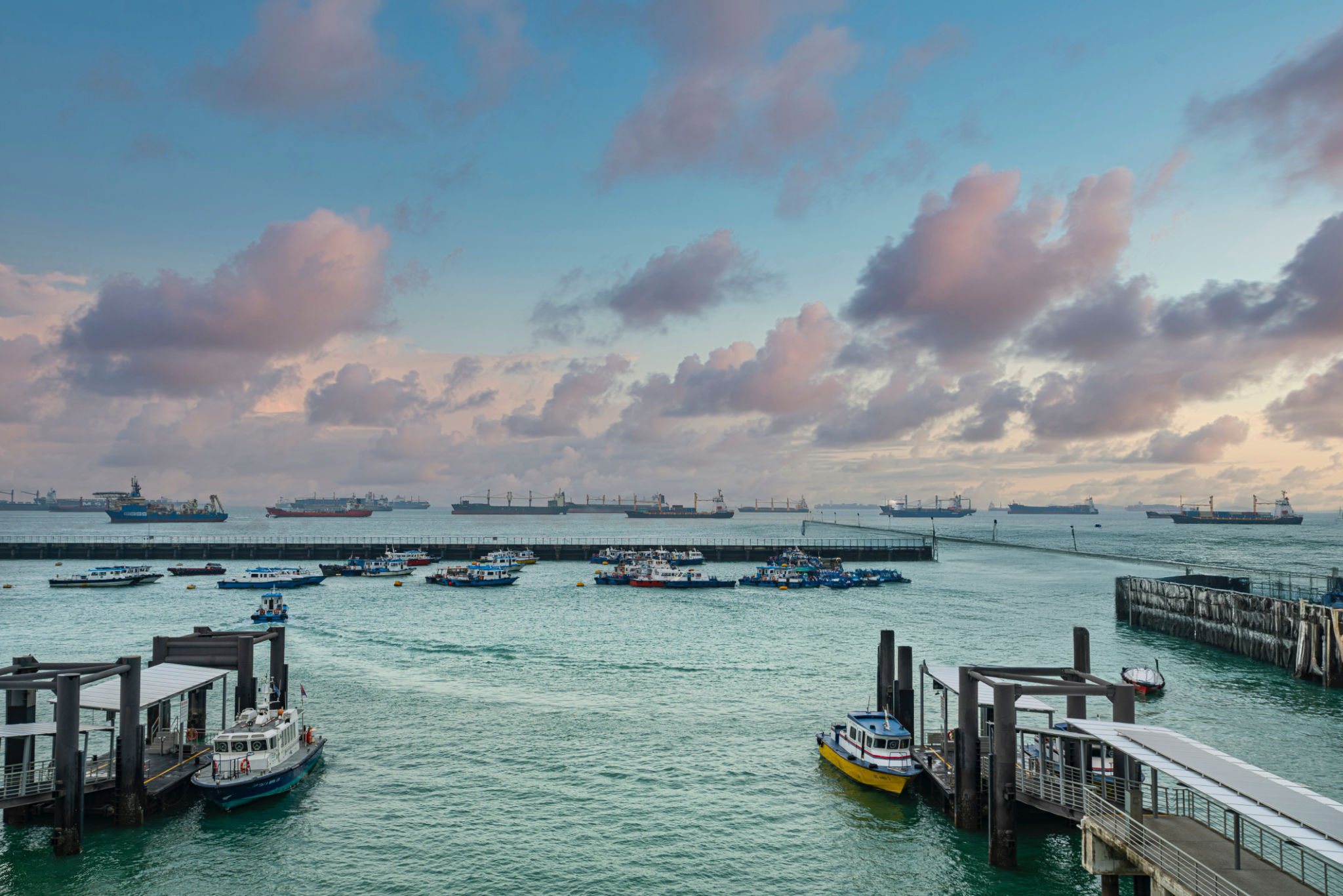 istockphoto-1204504723-2048x2048.jpg