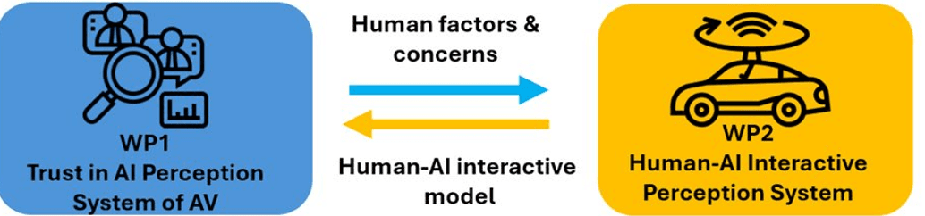 Diagram showing the relationship between two work packages for autonomous vehicles: WP1 (Trust in AI Perception System) and WP2 (Human-AI Interactive Perception System), linked by human factors and an interactive model.