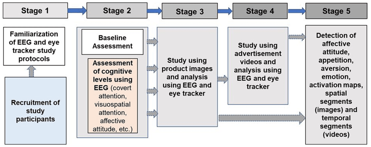 A flowchart titled "Study Methodology" outlining five stages: Stage 1 involves recruiting and familiarizing participants; Stage 2 covers baseline cognitive assessments using EEG; Stage 3 and 4 involve conducting studies using product images and advertisement videos while monitoring with EEG and eye-tracking; Stage 5 focuses on data analysis to detect affective attitudes, emotions, and activation patterns.