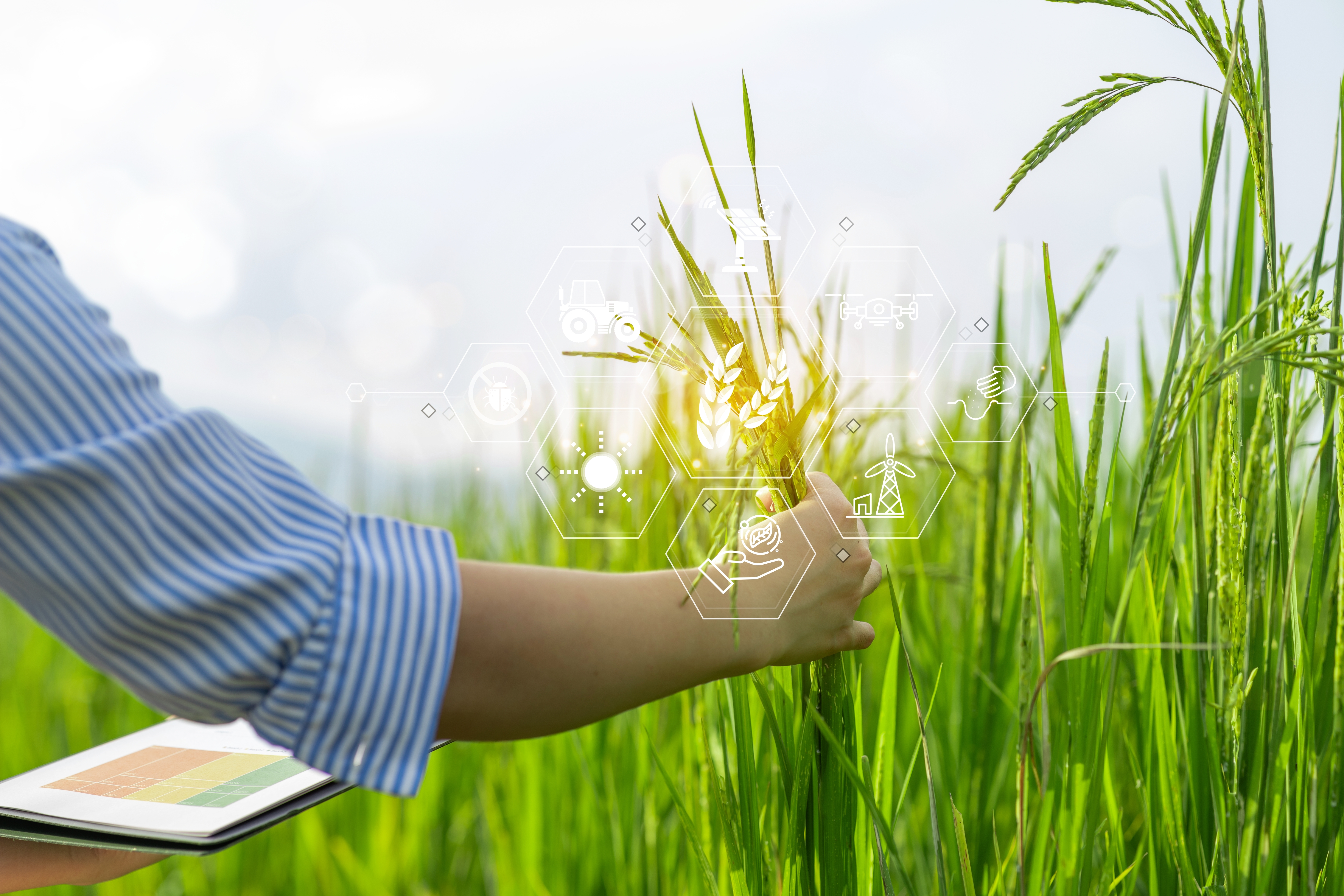 Environmental Sustainability Innovation 