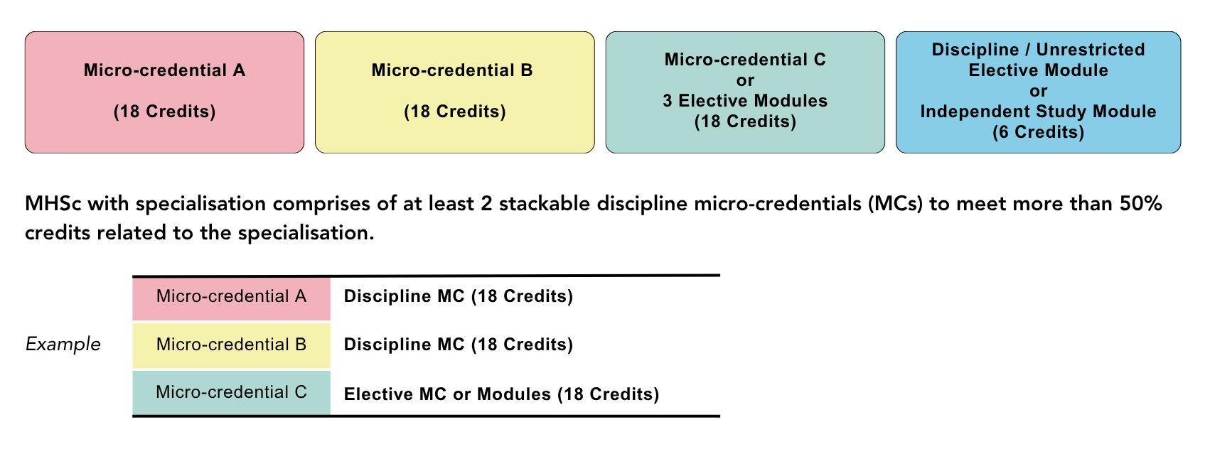 MHSc Programme Structure