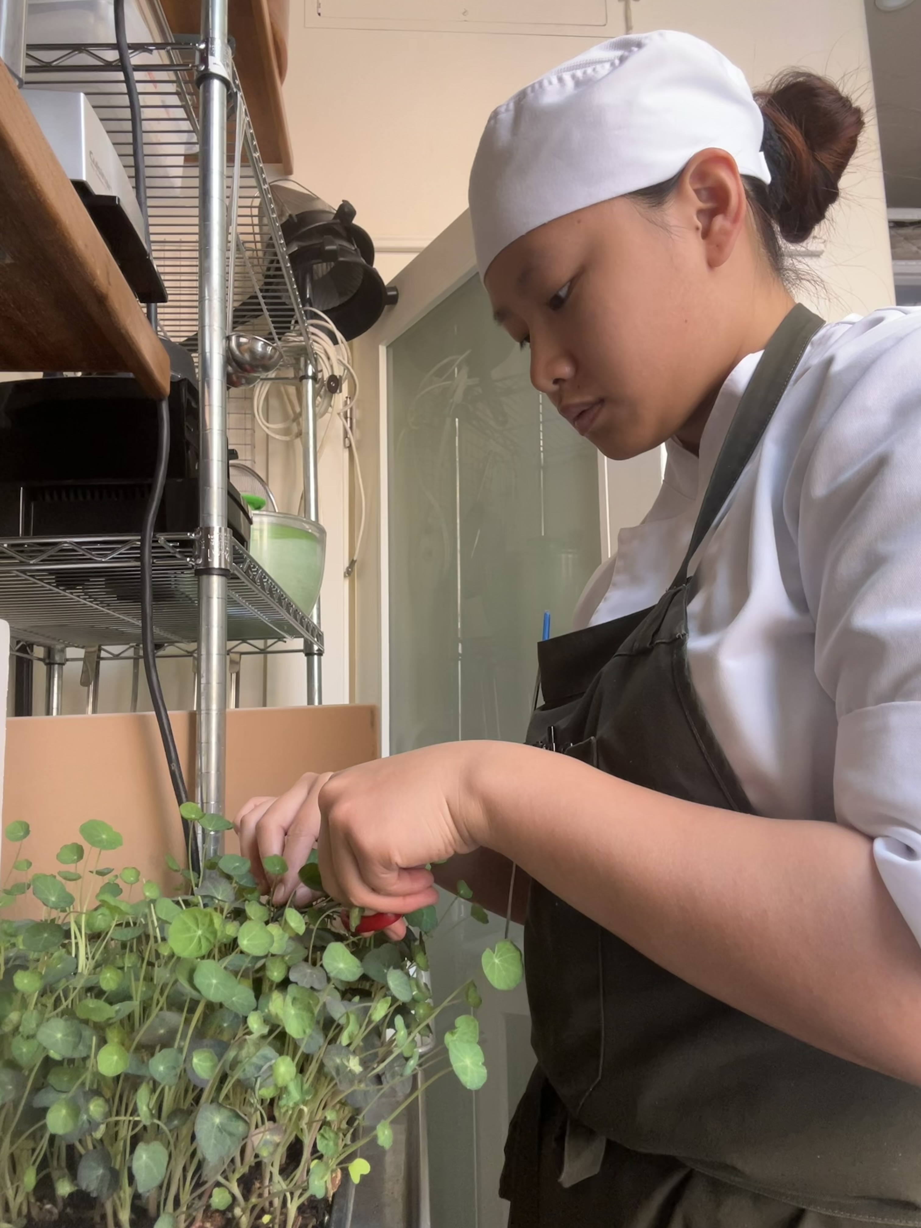 Charlene Soh