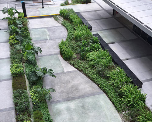 AA_E1 Bioswales (1)1.jpg