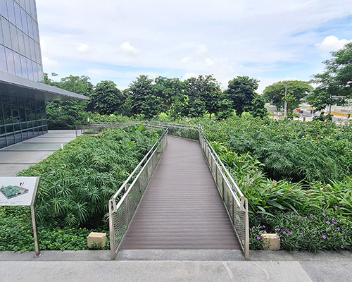 AA_E1 Rain Garden 1.jpg