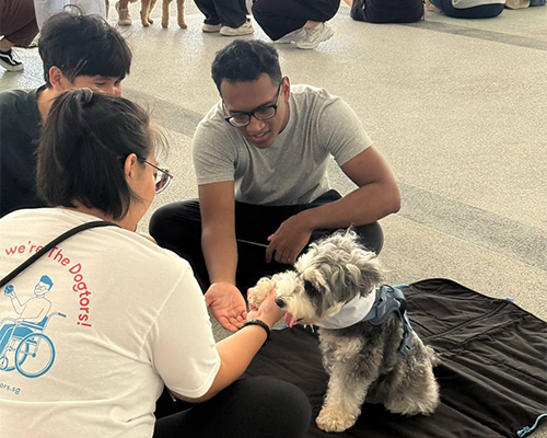 Whiskurs_Take a Paws with the Dogtors 1.jpg