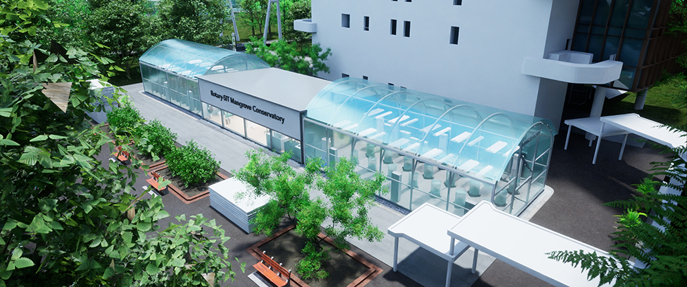 A Living Lab for Mangrove Research and Education.jpg