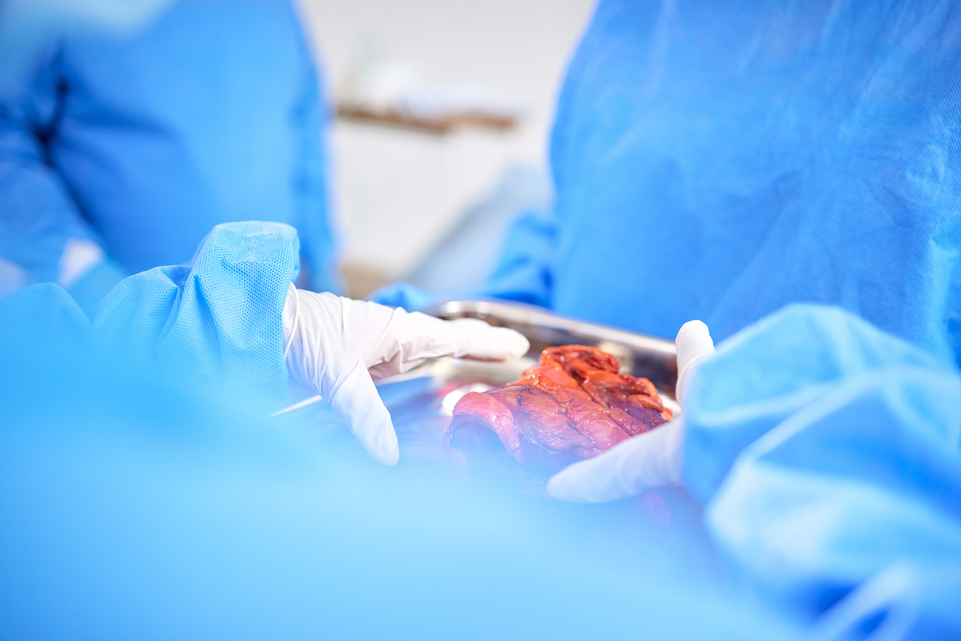 course-gcertorgantransplantnursing-banner