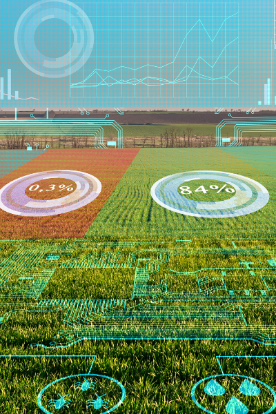 Leading the Digital Future of Food EE feature