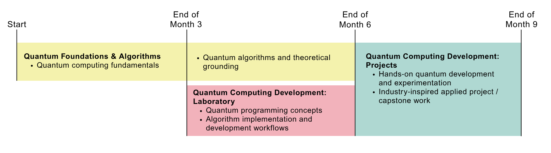 Quantum Computing Development Programme Pathway