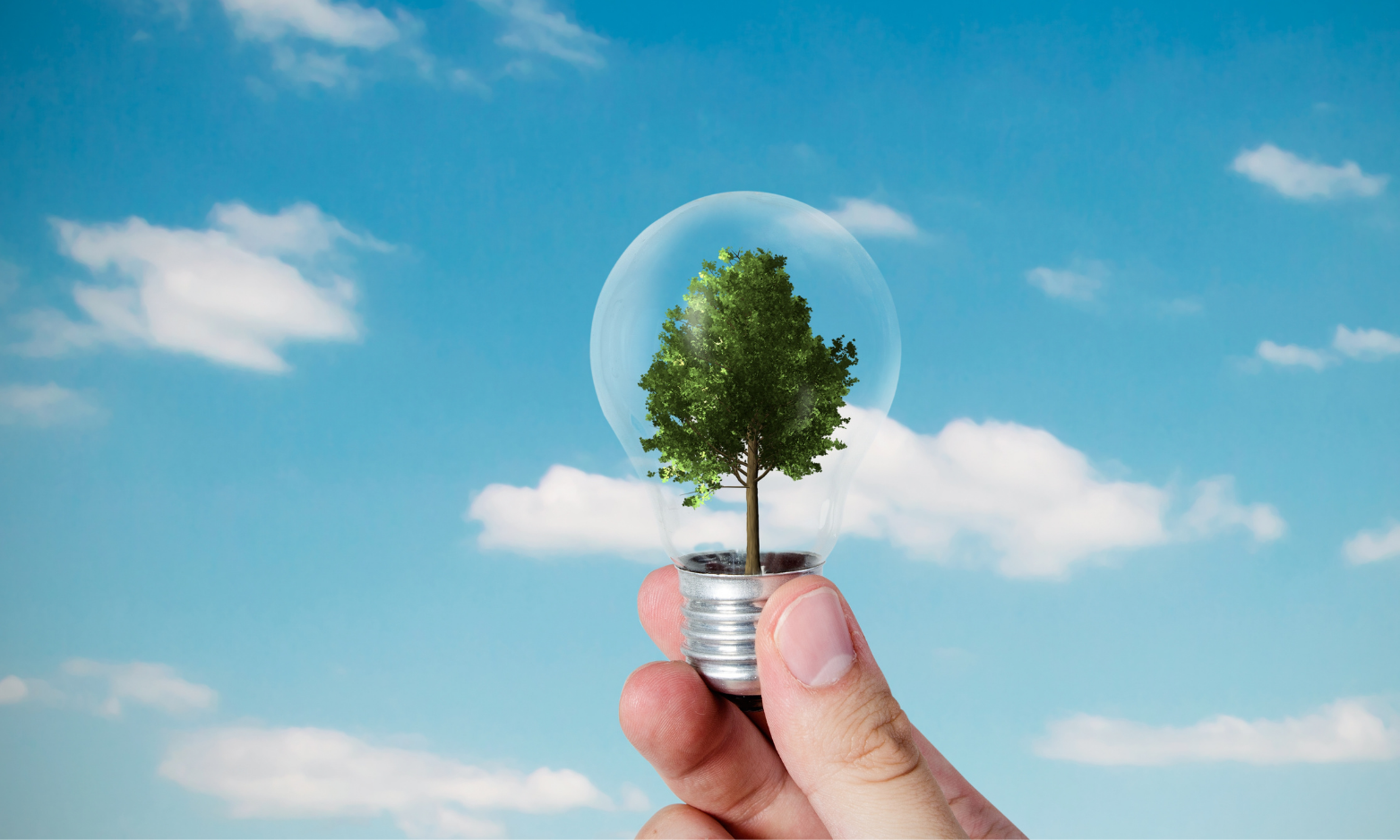 Energy Efficiency & Process Optimization