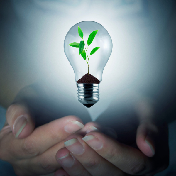 Energy Efficiency Topic