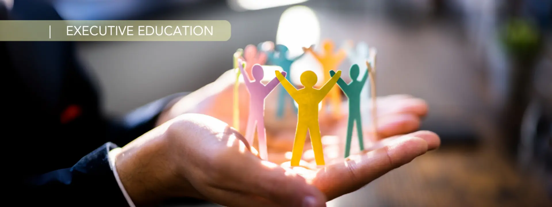 executive-education-banner-1